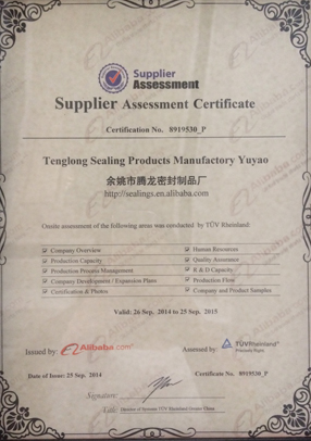 Tenglong-TUV-Certificated